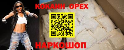 гидра Тара