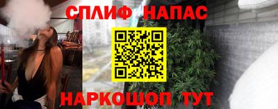 гидра Тара