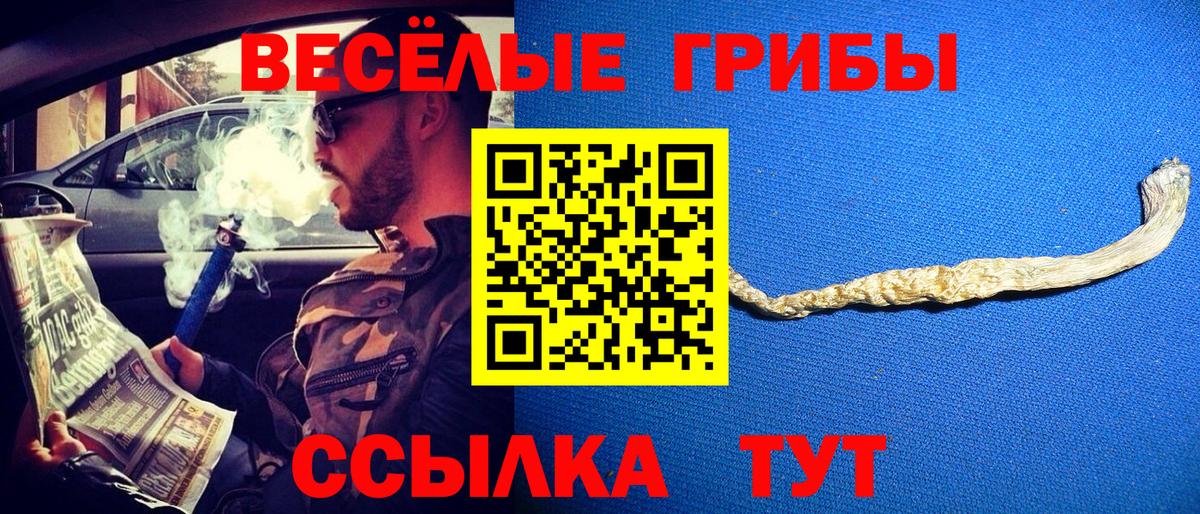 Псилоцибиновые грибы Psilocybine cubensis  цены наркотик  Сибай  Вход с VPN 