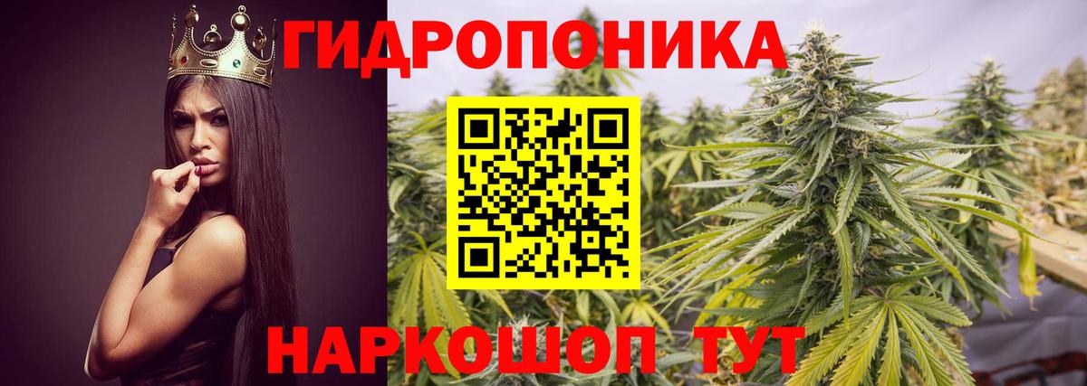 Шишки марихуана White Widow Сибай